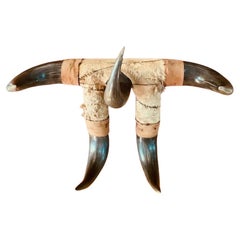 19th Century American Bison Horn Wall Mount