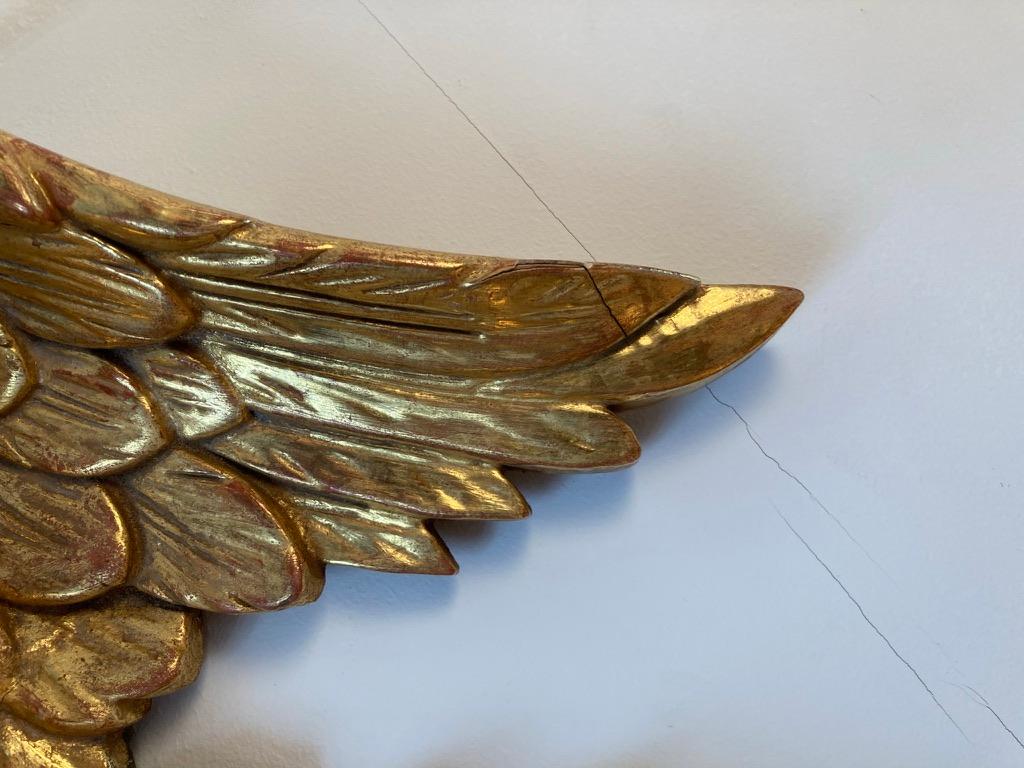 19th Century American Carved Giltwood Eagle 6
