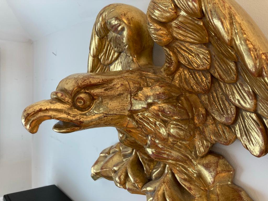 19th Century American Carved Giltwood Eagle 8