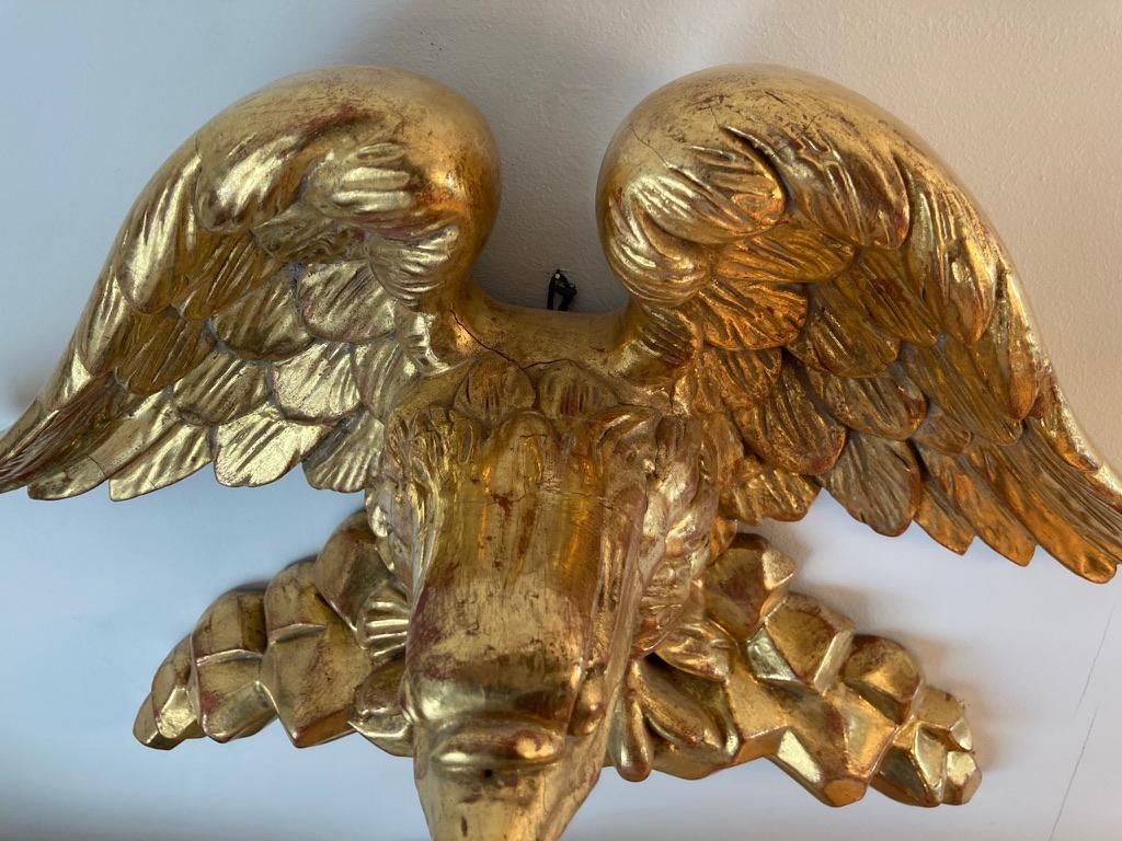 19th Century American Carved Giltwood Eagle 11
