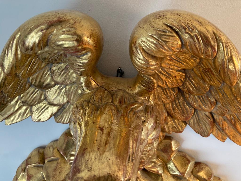 19th Century American Carved Giltwood Eagle 12