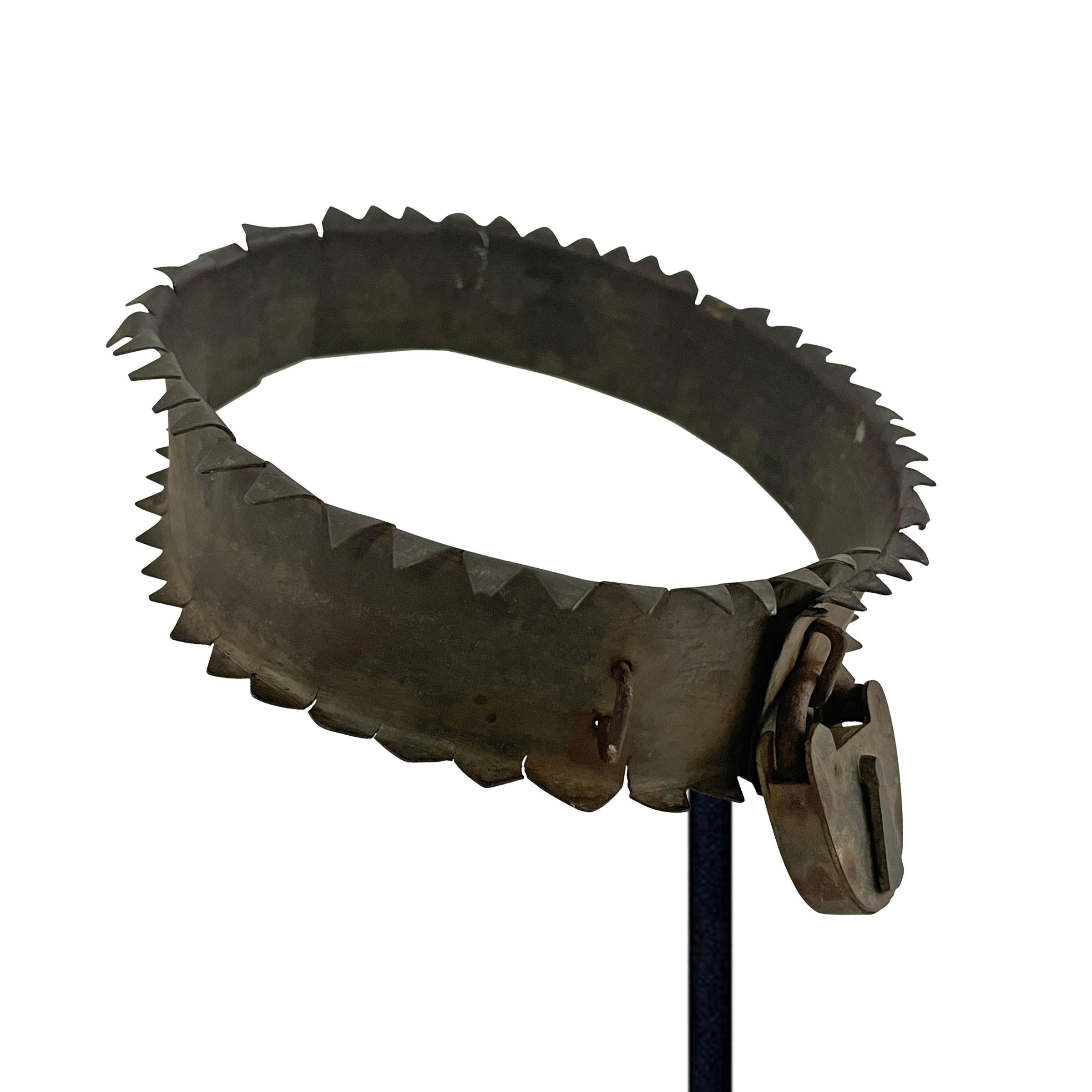 19th Century American Dog Collar on Custom Mount In Good Condition For Sale In Chicago, IL