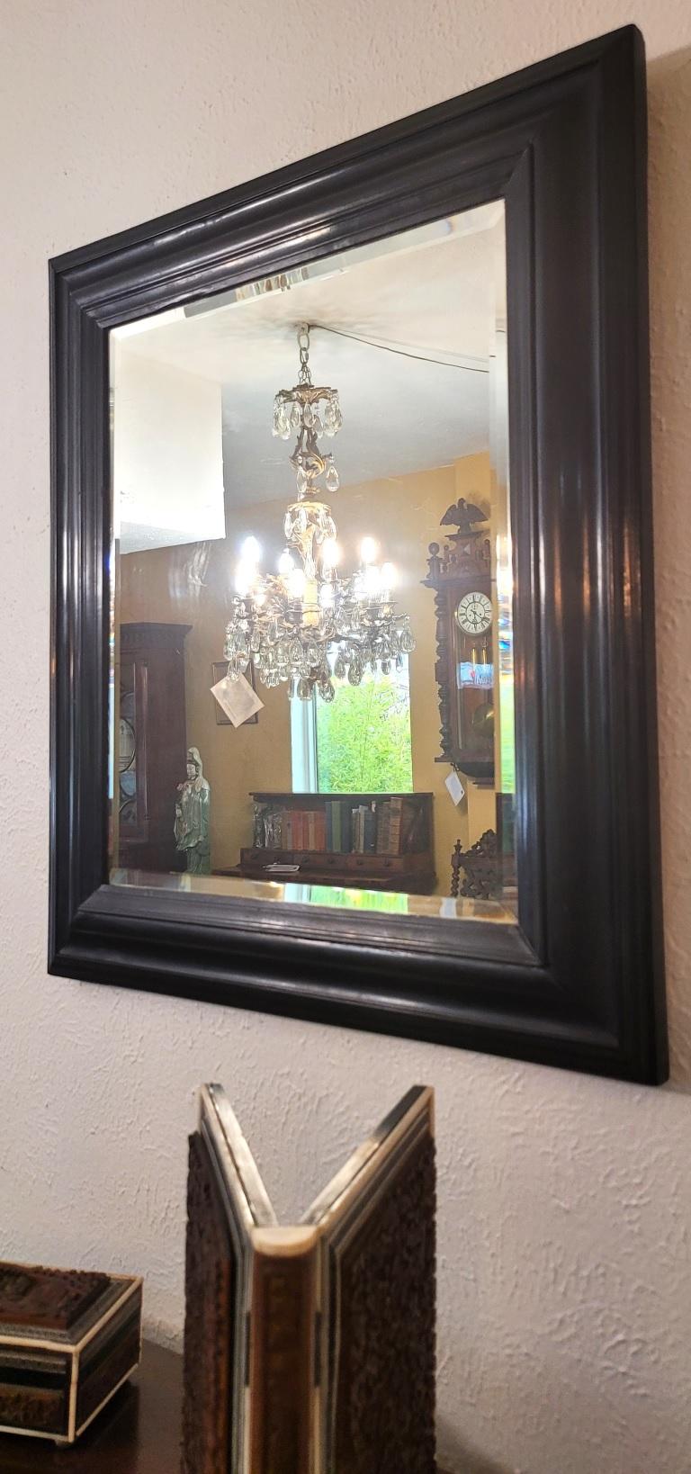 Beveled 19th Century American Ebony Mirror with Bevelled Glass For Sale