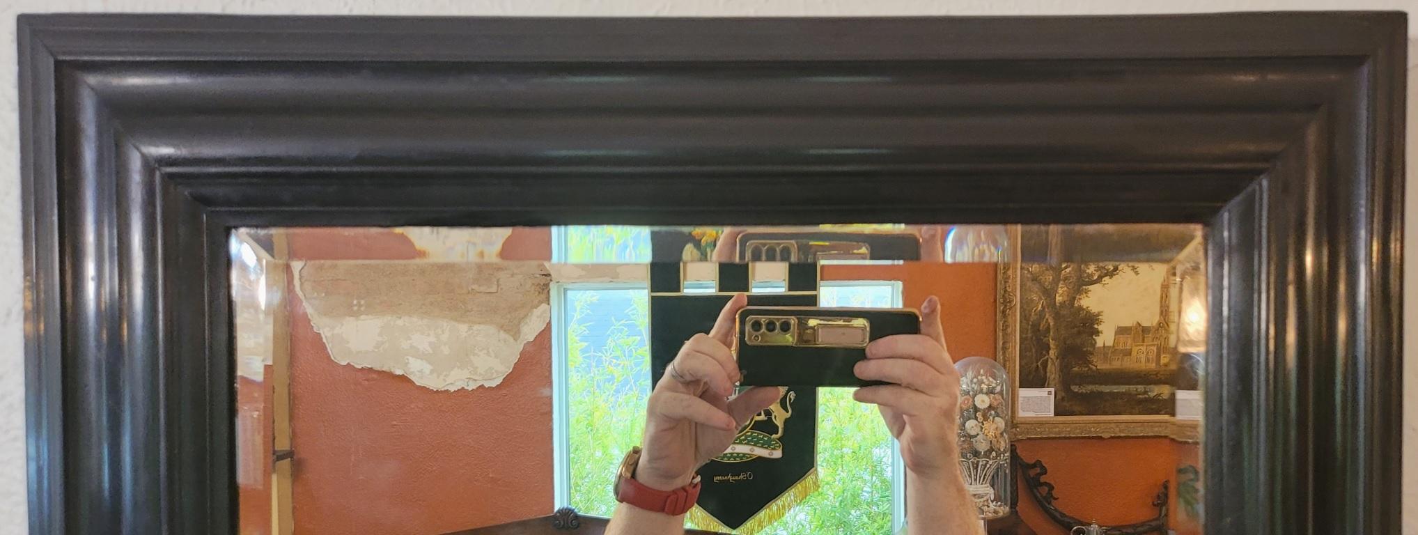 19th Century American Ebony Mirror with Bevelled Glass For Sale 4
