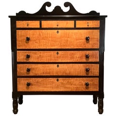 19th Century American Empire Ebonized and Tiger Maple Tall Chest