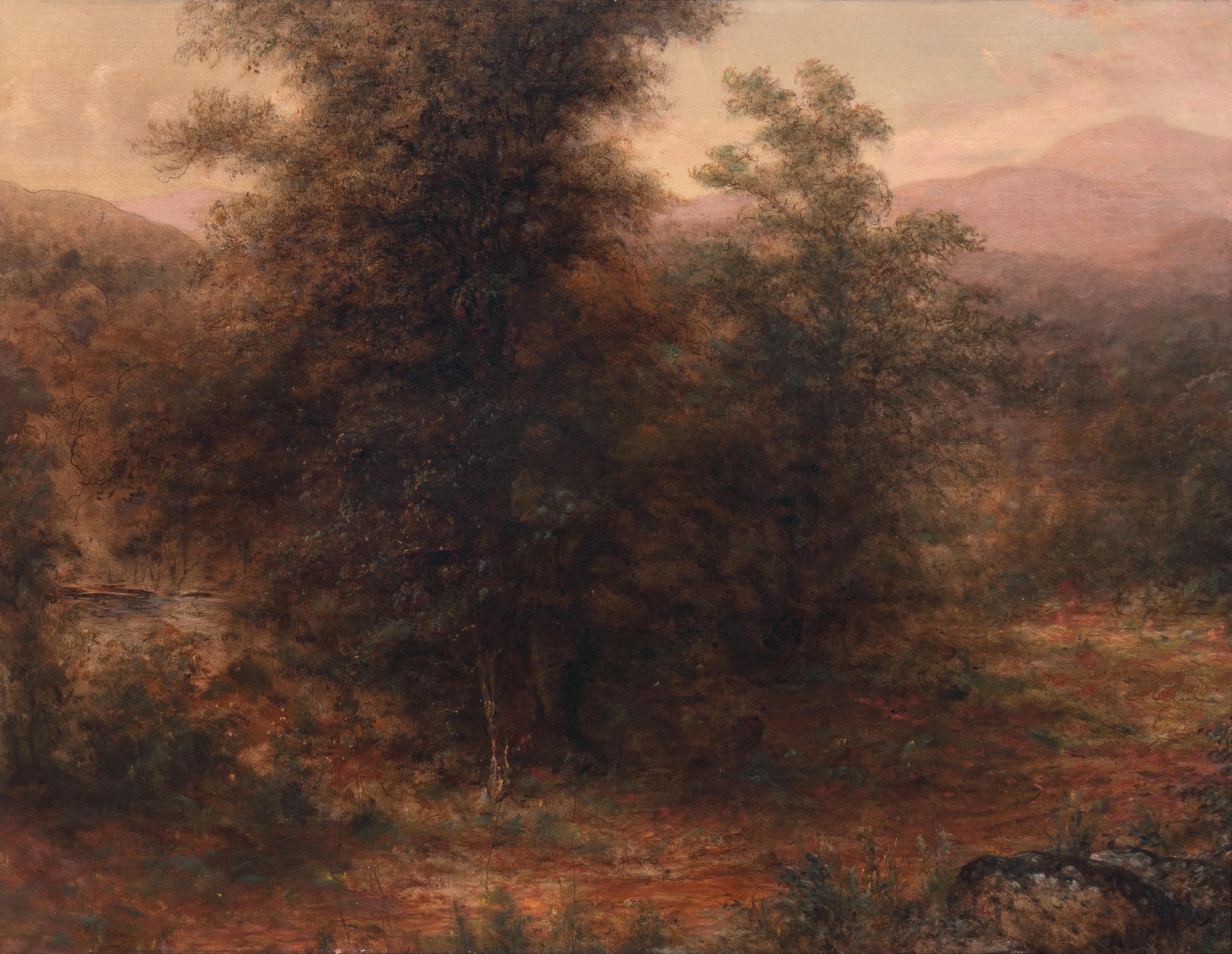 'Paesaggio boschivo illuminato dal sole', olio di grandi dimensioni sulla valle del fiume Hudson, Luminism, New York - Painting di 19th Century American School
