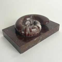 19th Century Ammonite Fossil Paperweight on Limestone Base