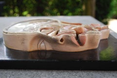 19th Century Anatomic Didactic Model, Head Cross Section by Bock, Steger Lips