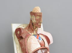 19th Century Anatomical Model by Dr Auzoux