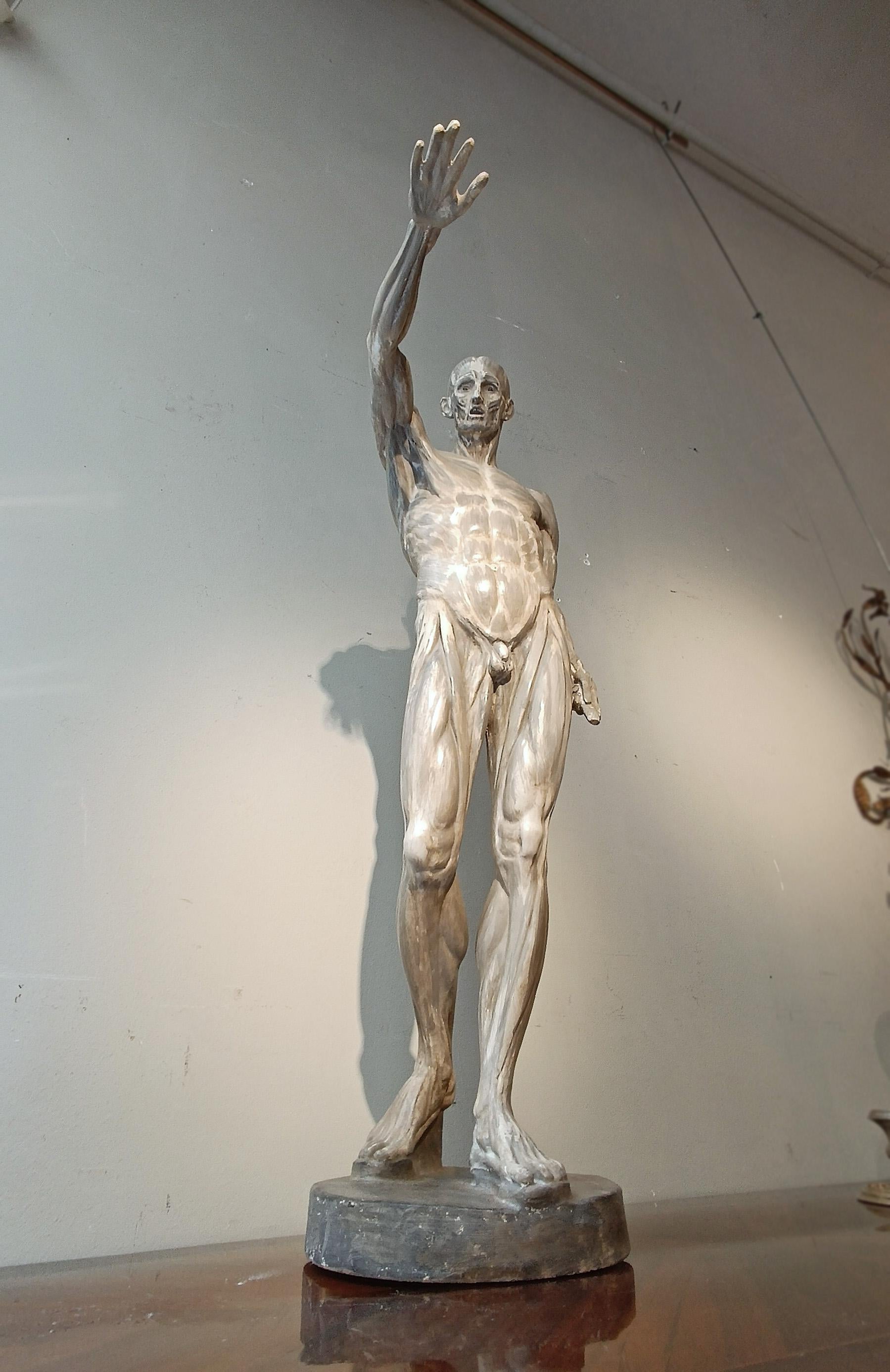 sCULPTURE DE MODÈLE ANATOMIQUE DU 19e SIÈCLE en vente 3