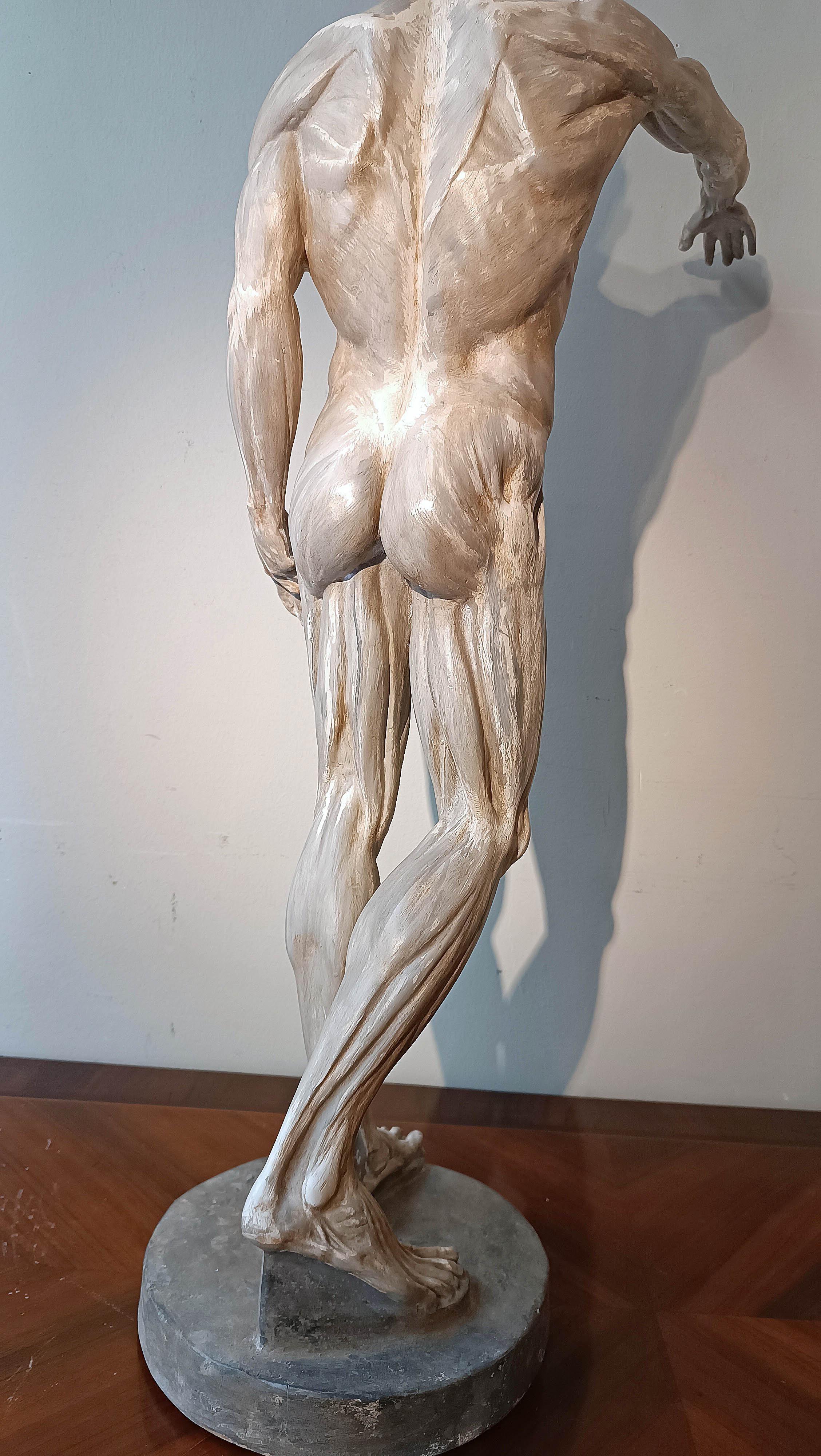 sCULPTURE DE MODÈLE ANATOMIQUE DU 19e SIÈCLE en vente 5