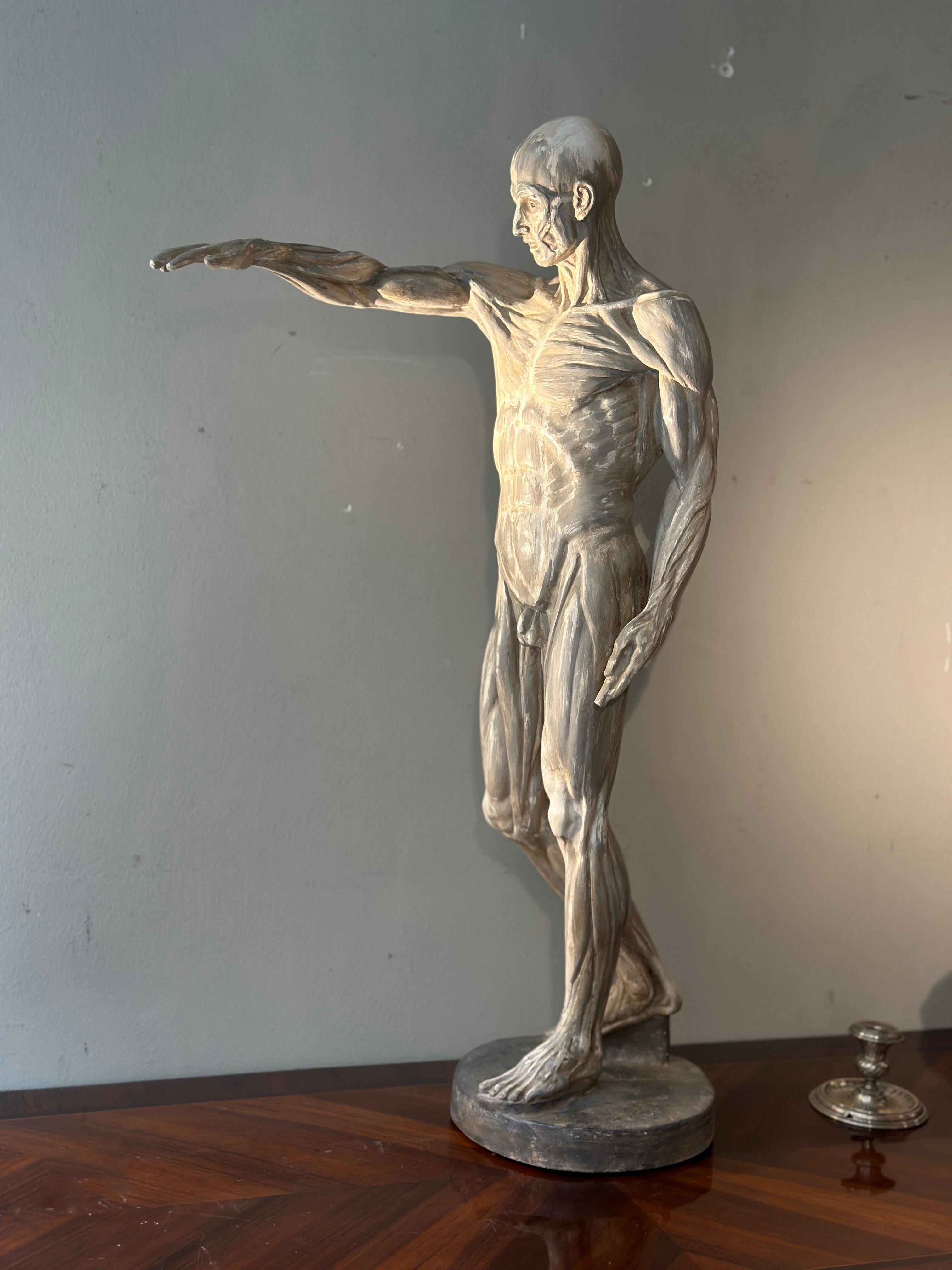 sCULPTURE DE MODÈLE ANATOMIQUE DU 19e SIÈCLE en vente 6