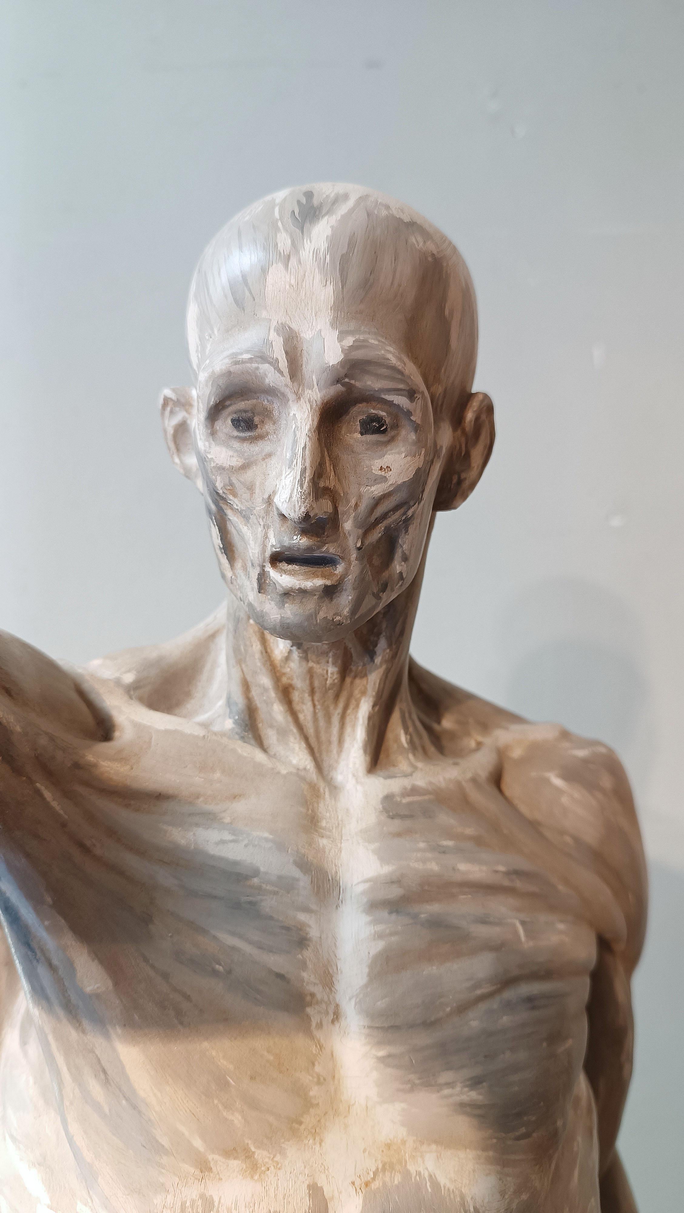 sCULPTURE DE MODÈLE ANATOMIQUE DU 19e SIÈCLE Bon état - En vente à Firenze, FI