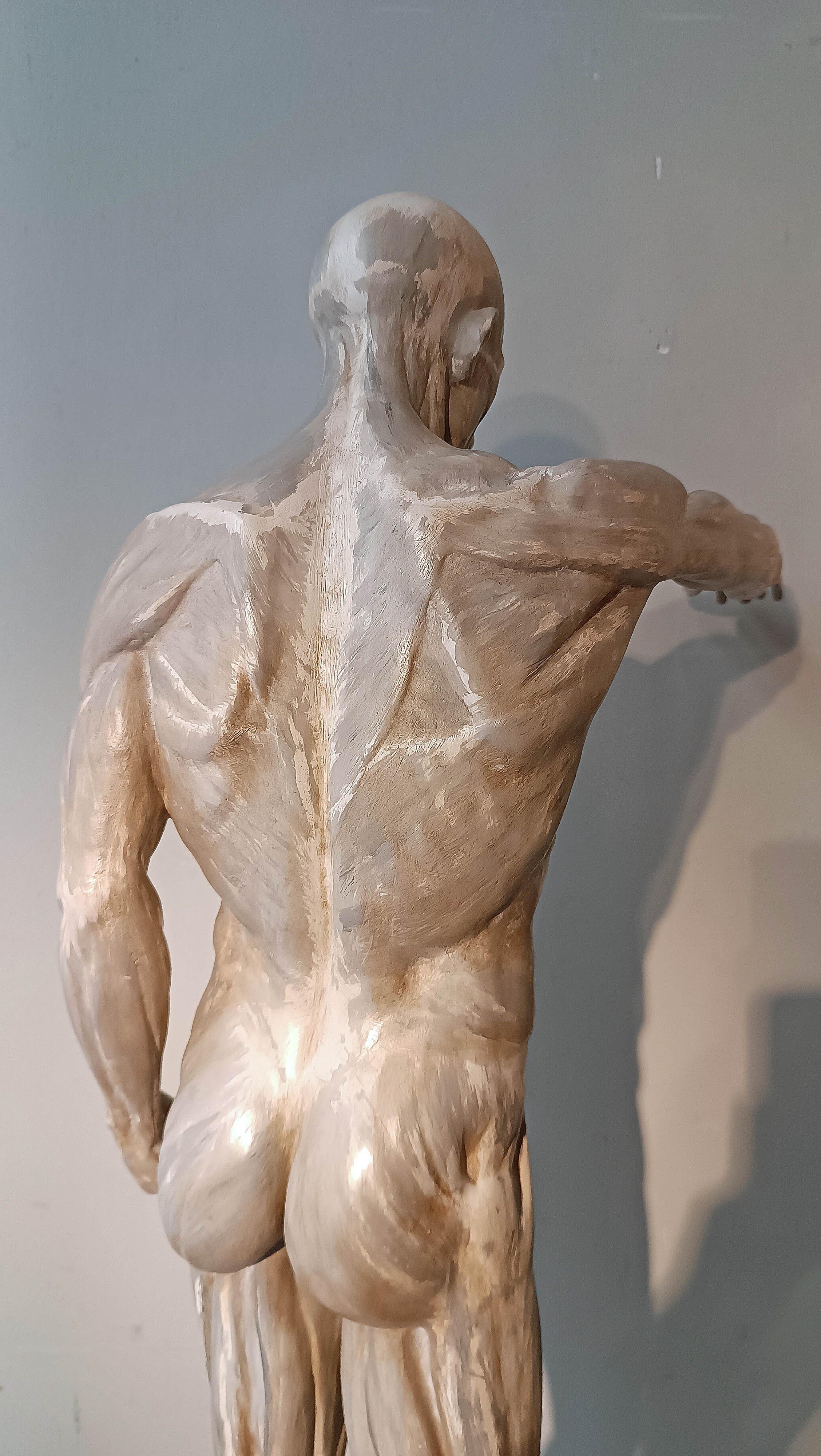 sCULPTURE DE MODÈLE ANATOMIQUE DU 19e SIÈCLE en vente 1
