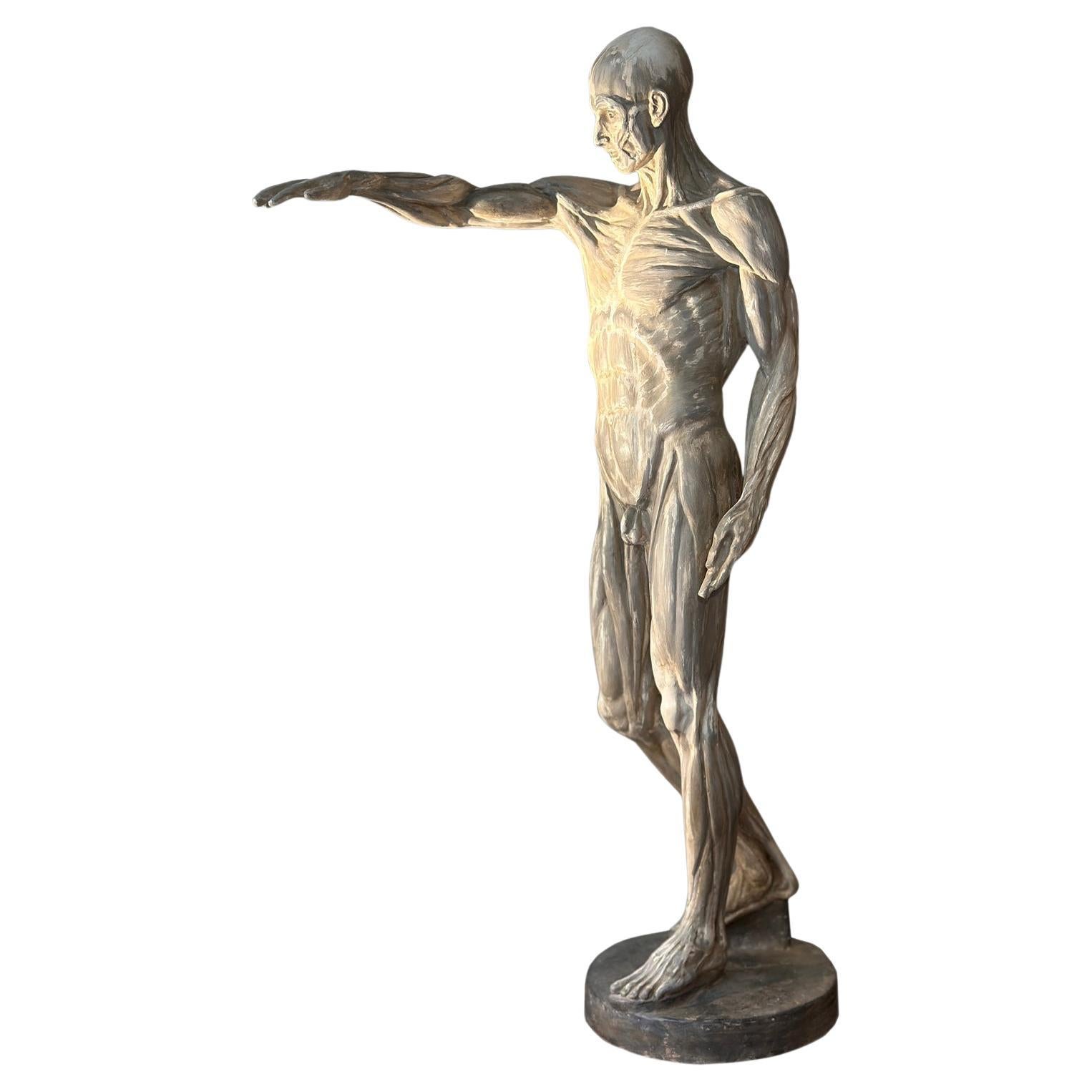 19th CENTURY ANATOMICAL MODEL SCULPTURE