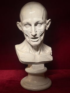 19th Century Anatomical Plaster Bust After Jean-Antoine Houdon's L'Écorché