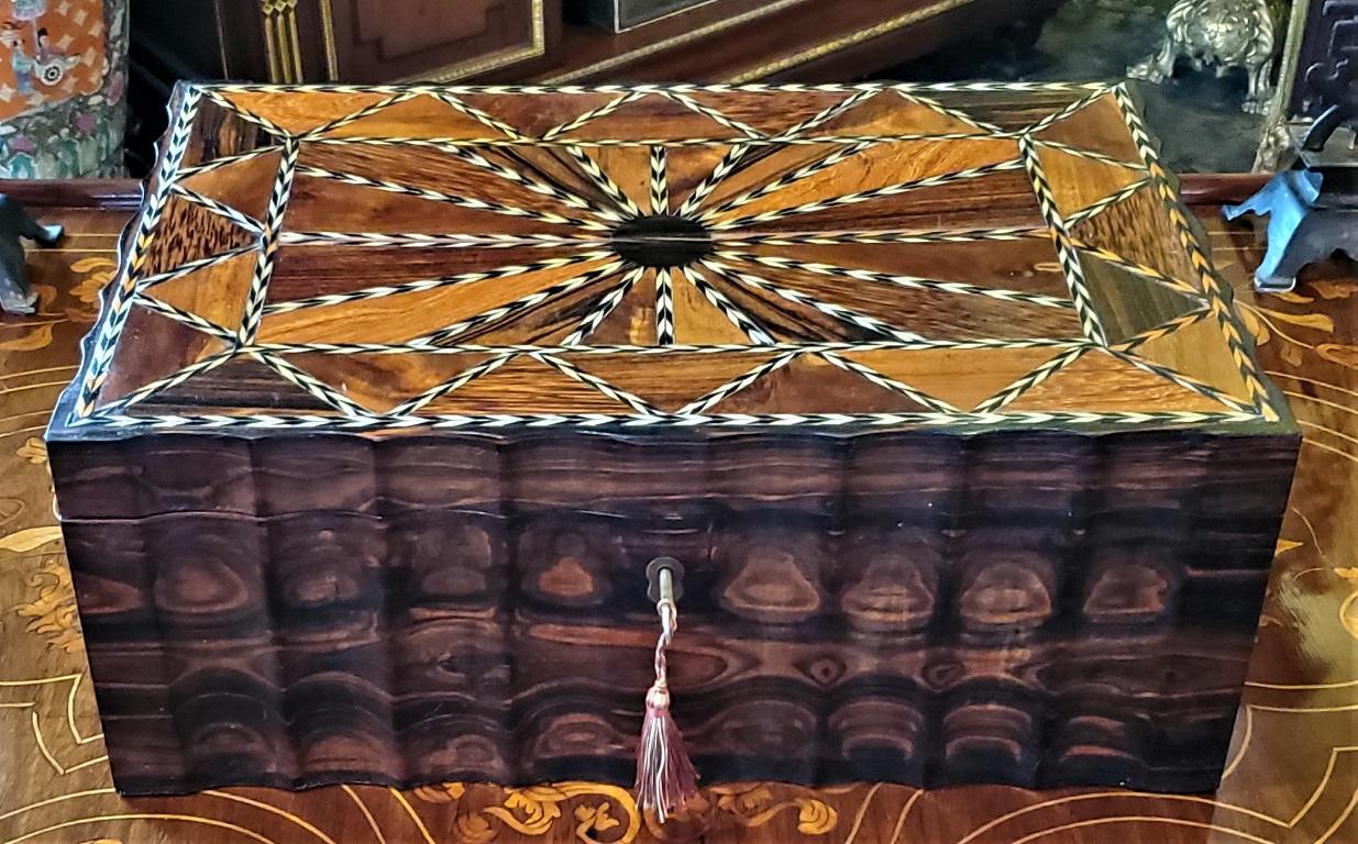 19th Century Anglo Ceylonese Coromandel Box with Specimen Wood Inlays 2