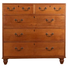 19th Century Anglo-Indian Campaign Chest