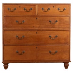 19th Century Anglo-Indian Campaign Chest