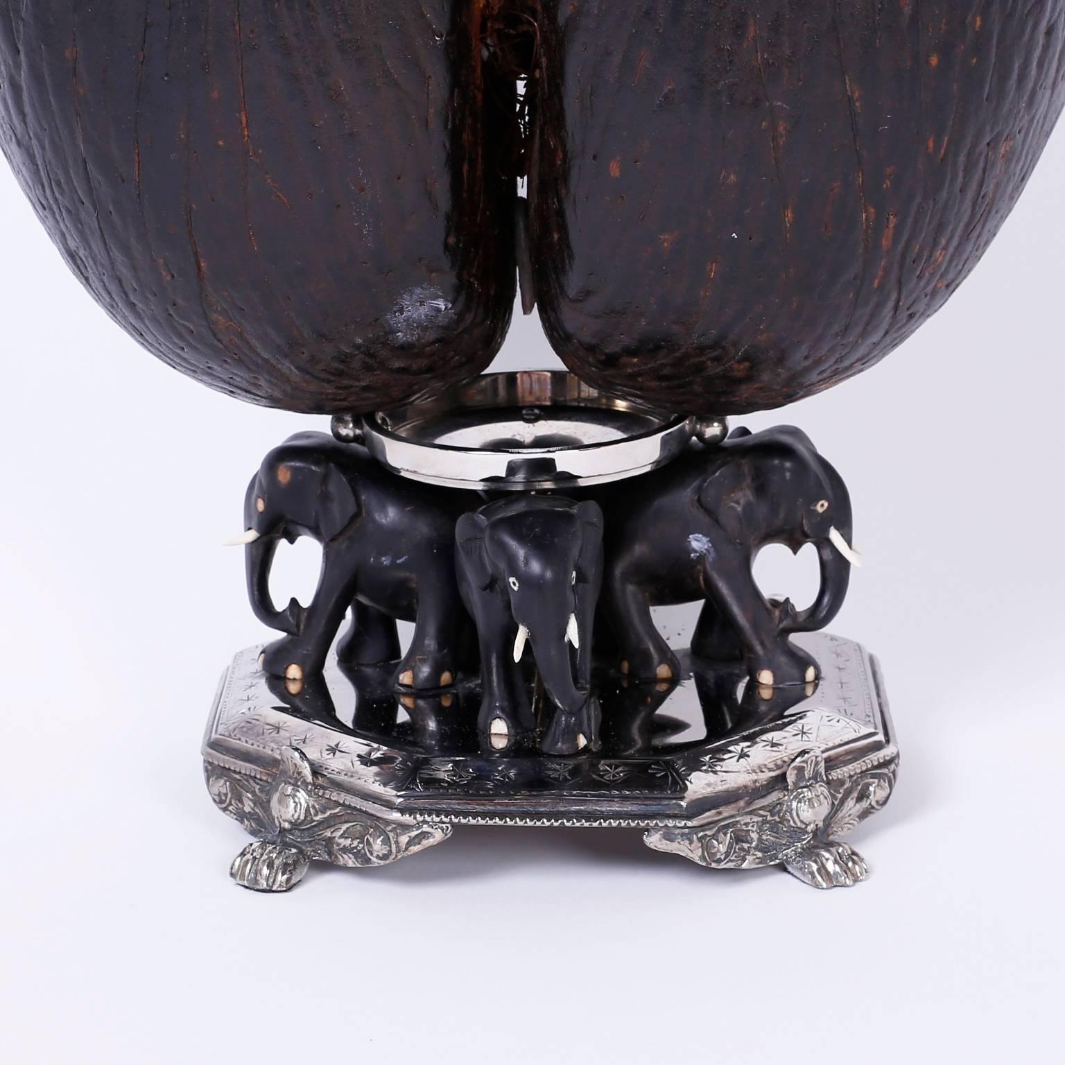 19th Century Anglo-Indian Coco de Mer Tea Caddy In Excellent Condition In Palm Beach, FL