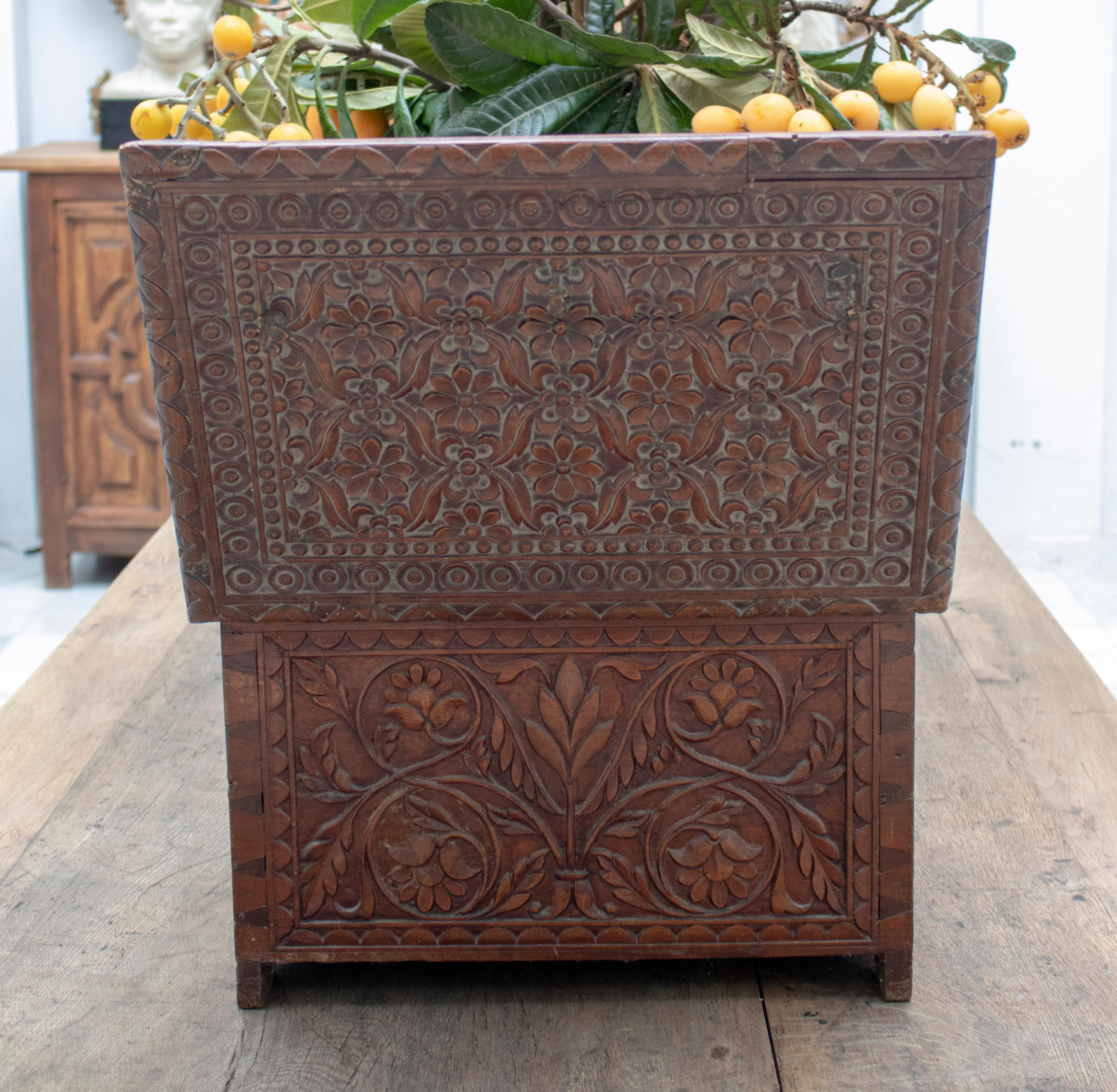 19th Century Anglo-Indian Hand Carved Tropical Wood Box For Sale 2