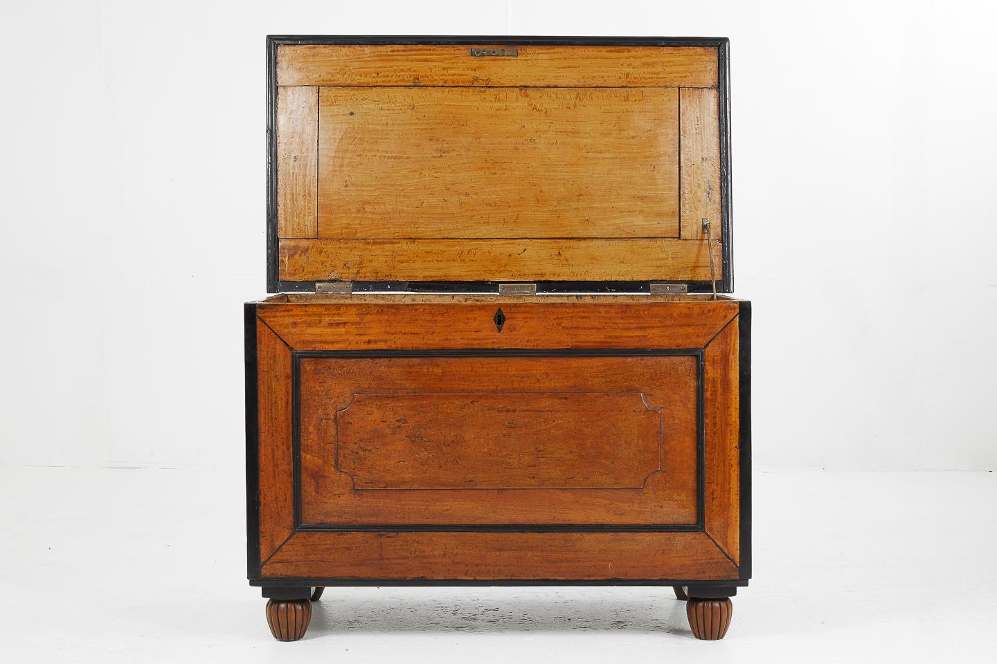 Anglo-Indian 19th Century Anglo Indian Satinwood and Ebony Chest For Sale