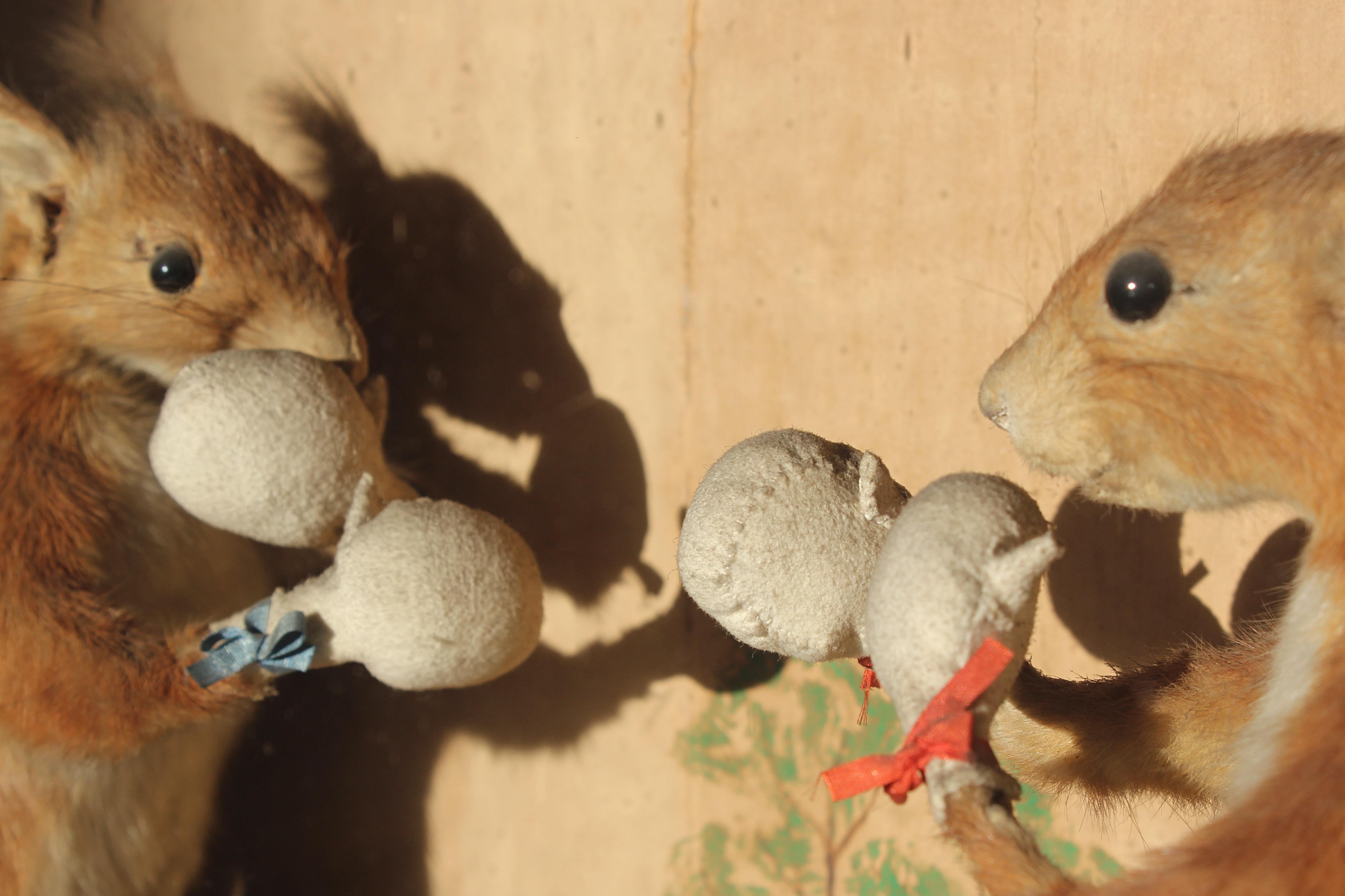 English 19th Century  Anthropomorphic Taxidermy Boxing Squirrels by Edward Hart  For Sale