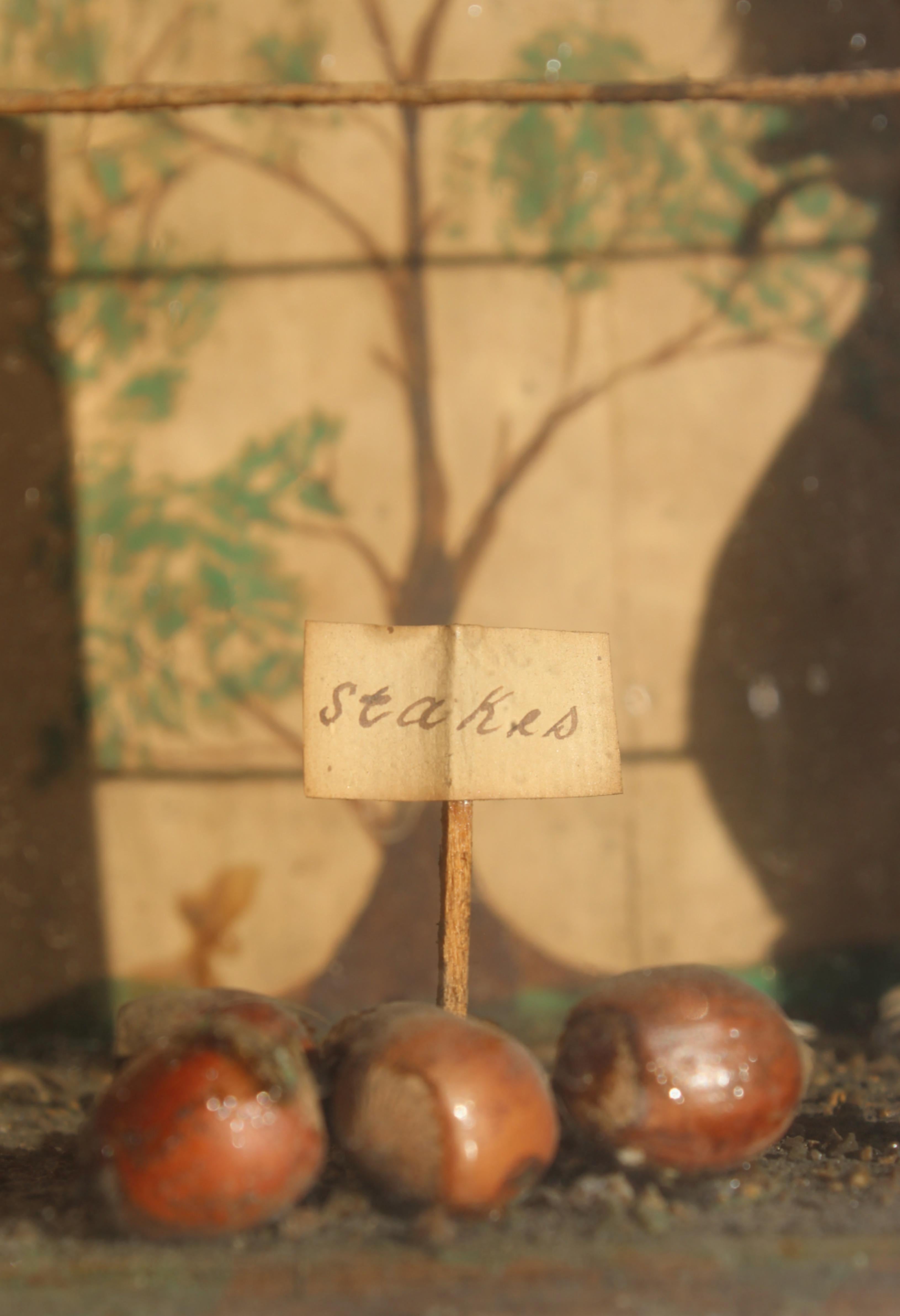 19th Century  Anthropomorphic Taxidermy Boxing Squirrels by Edward Hart  For Sale 1