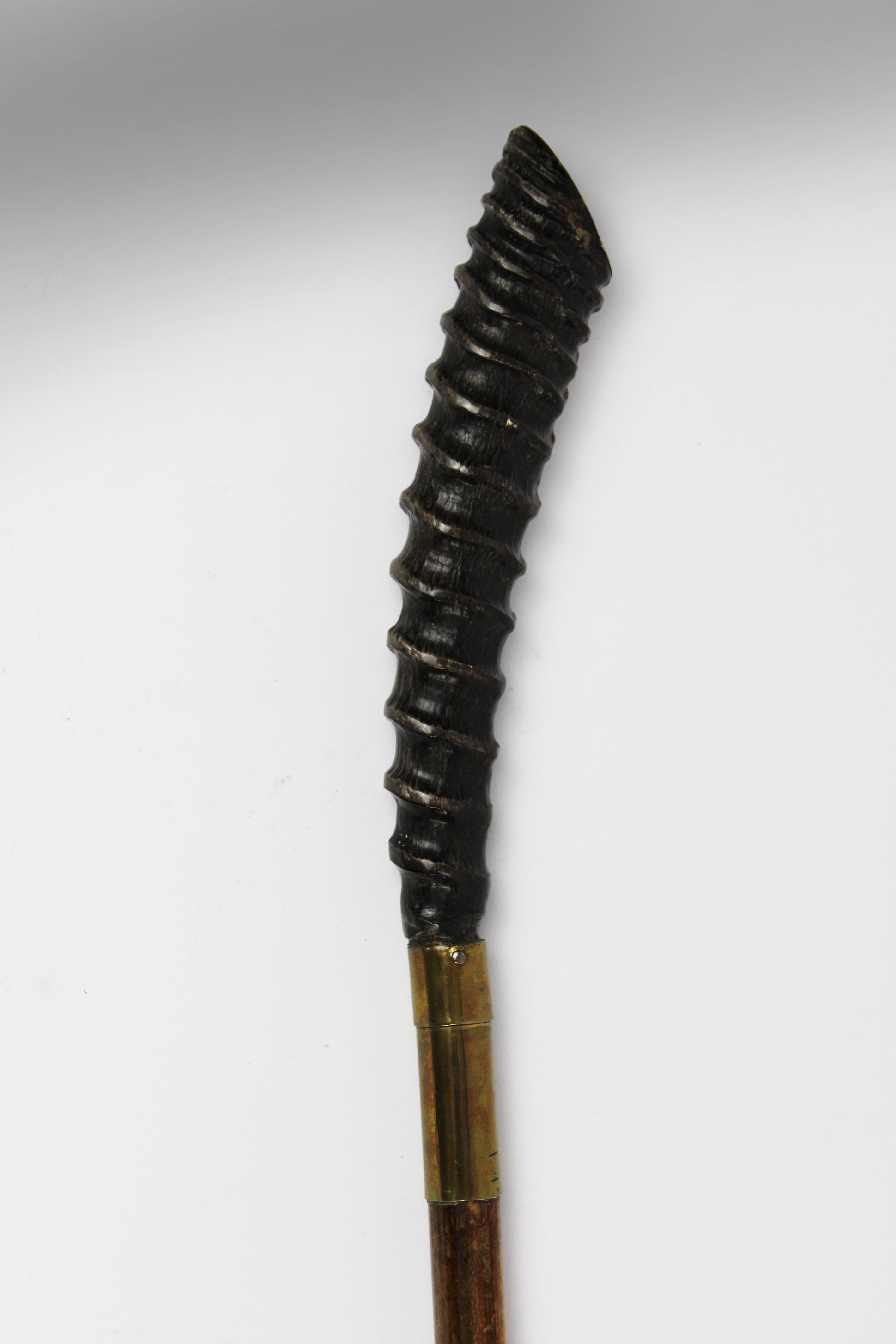 Cette canne du XIXe siècle, fabriquée à la main en France vers 1910, est un bel exemple de design élégant et de savoir-faire artisanal. La canne est fabriquée en bambou, ce qui lui confère à la fois durabilité et aspect raffiné. La poignée, façonnée