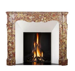19th Century Antique and Classic French Pompadour Marble Fireplace Surround