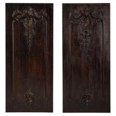 19th Century Antique Architectural Panels in Warm Brown Wood, France