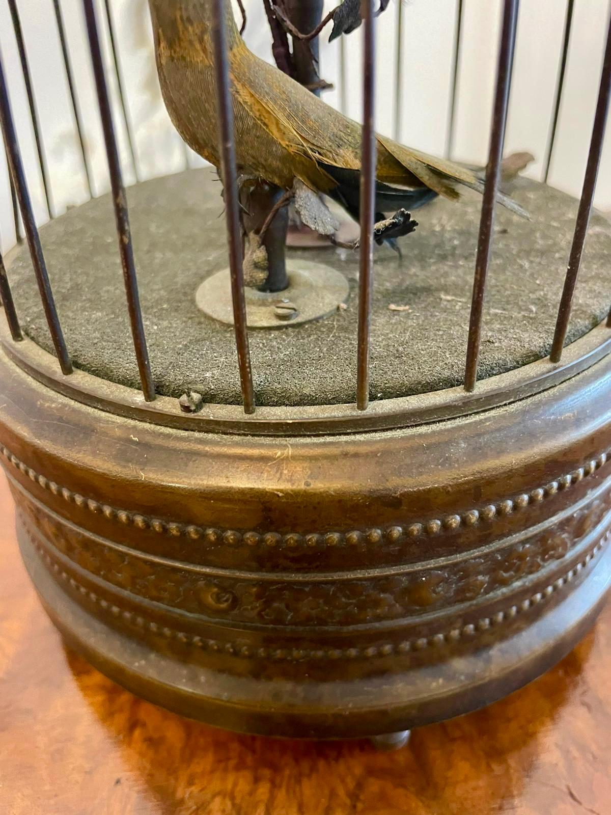 19th Century Antique Brass Caged Singing Birds 1
