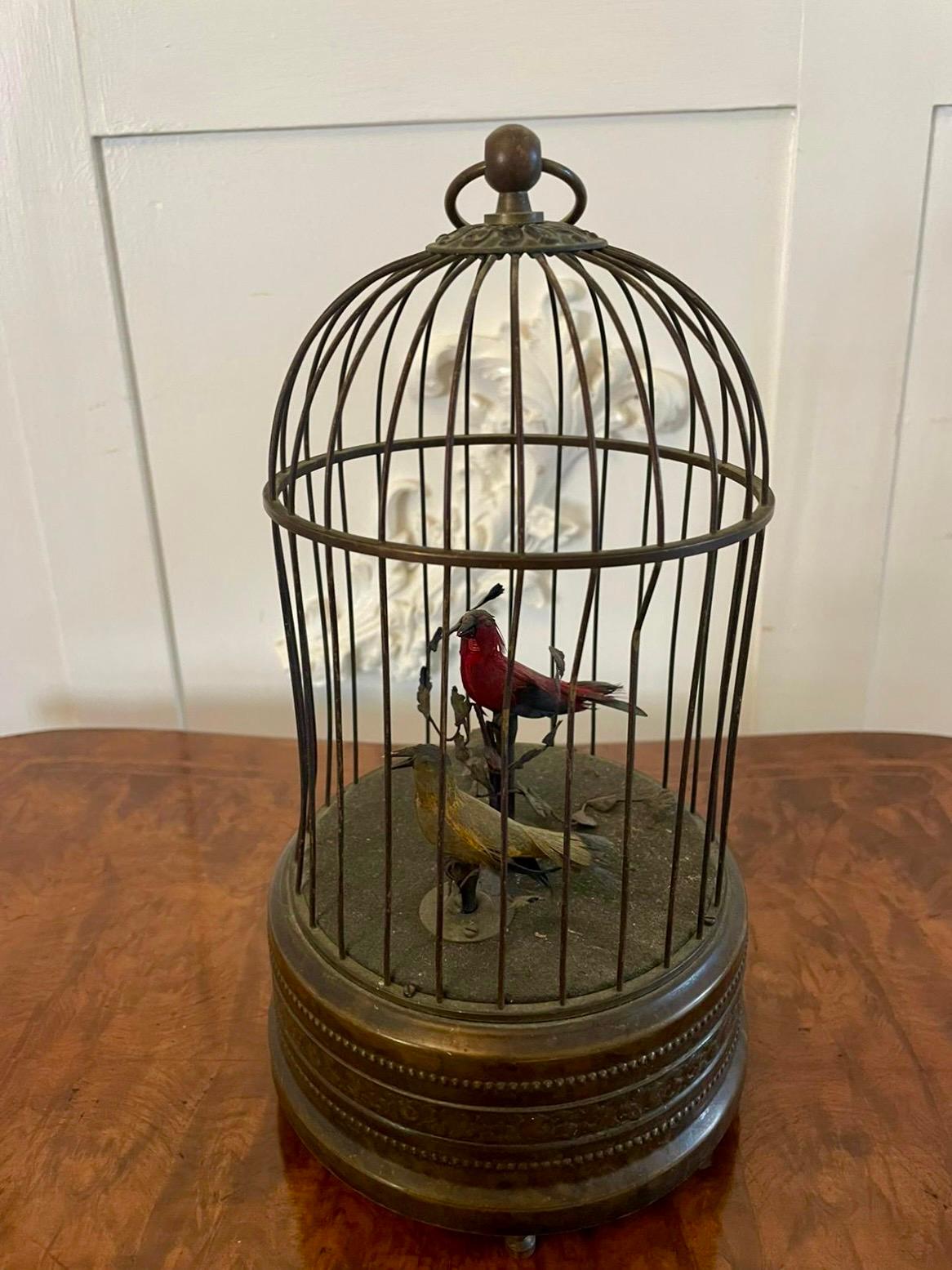 19th Century Antique Brass Caged Singing Birds 3