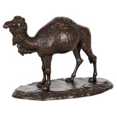 19th Century Antique Bronze Sculpture of a Dromedary Camel