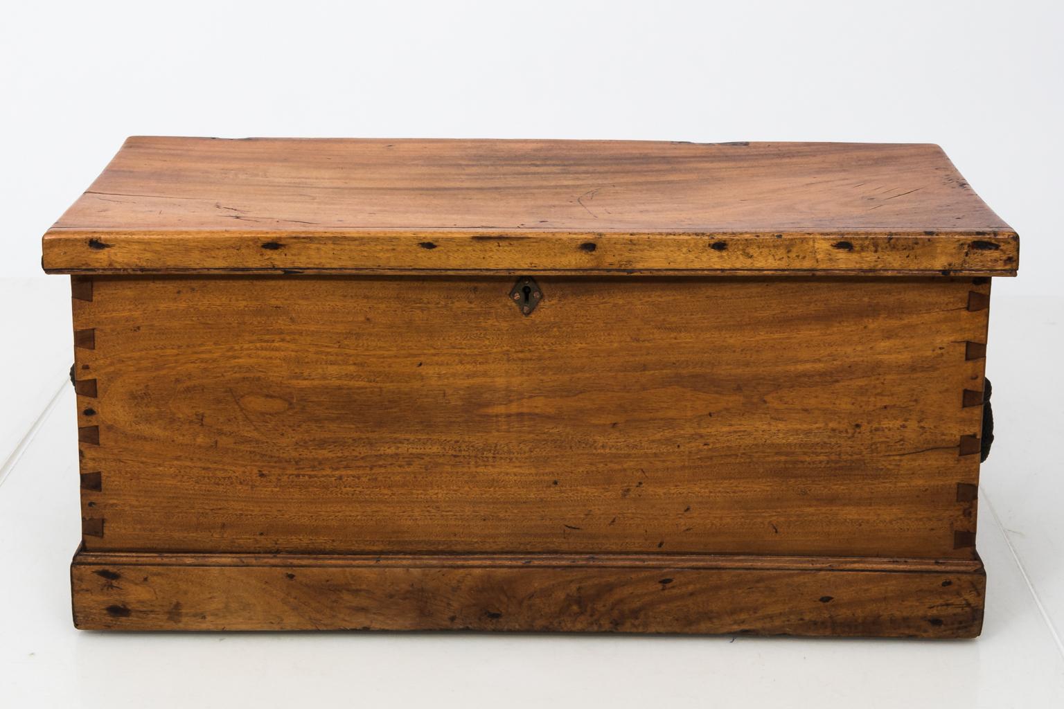19th Century Antique Camphorwood Canted Sea Chest 6
