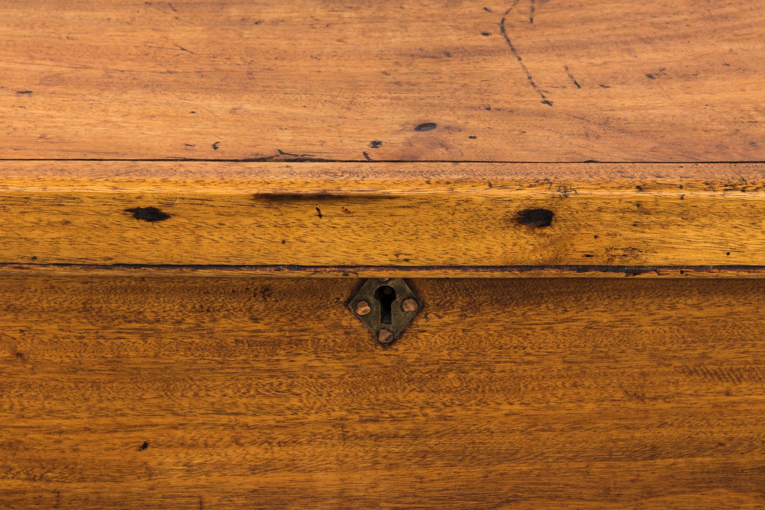 19th Century Antique Camphorwood Canted Sea Chest 7