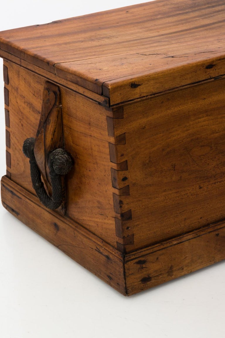 19th Century Antique Camphorwood Canted Sea Chest at 1stDibs