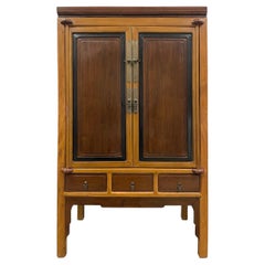 19th Century Antique Chinese NingBo TV Cabinet, Armoire, Wardrobe