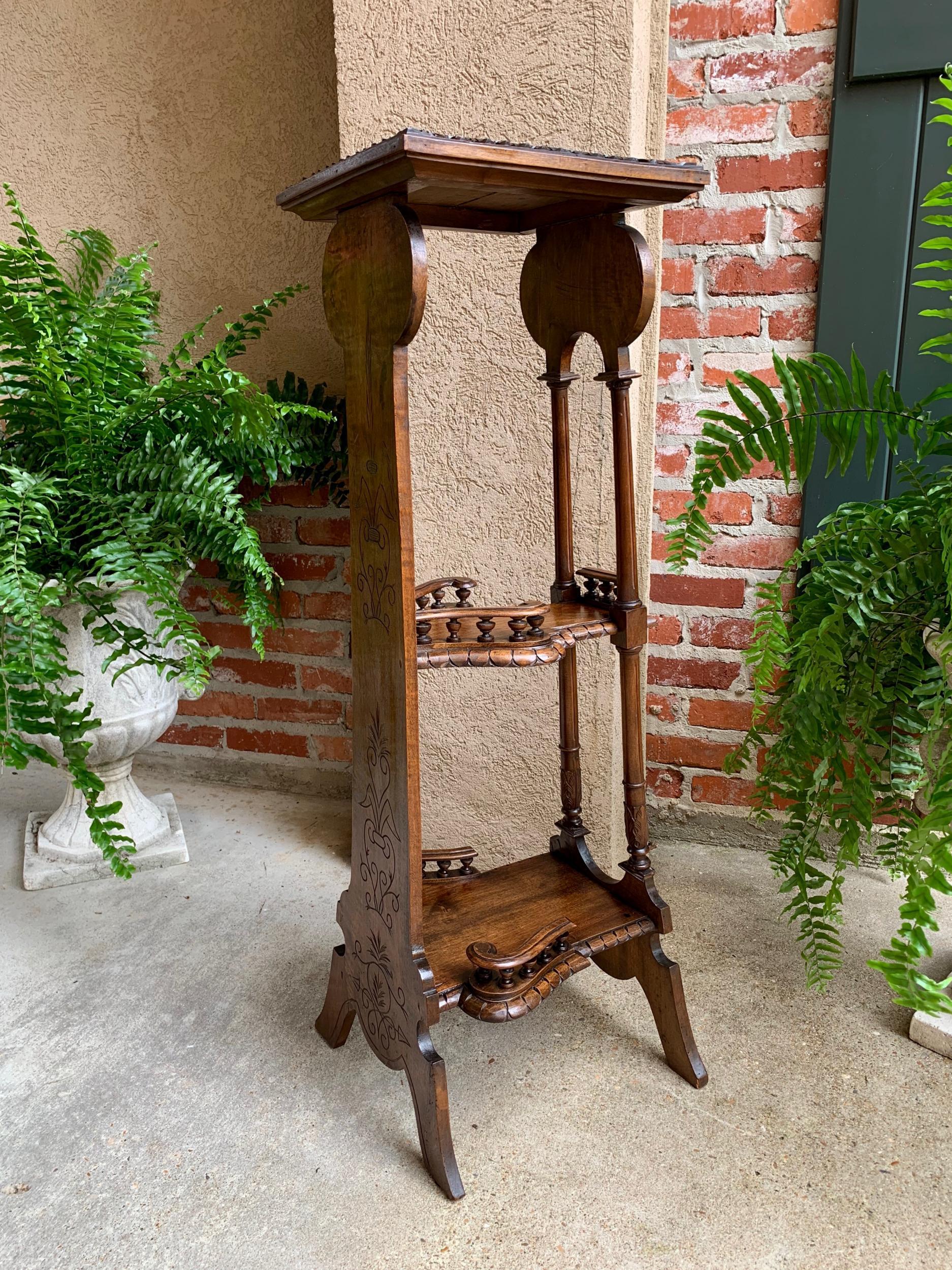 19th Century Antique French Breton Brittany Carved Oak Tall Plant Display Stand 4