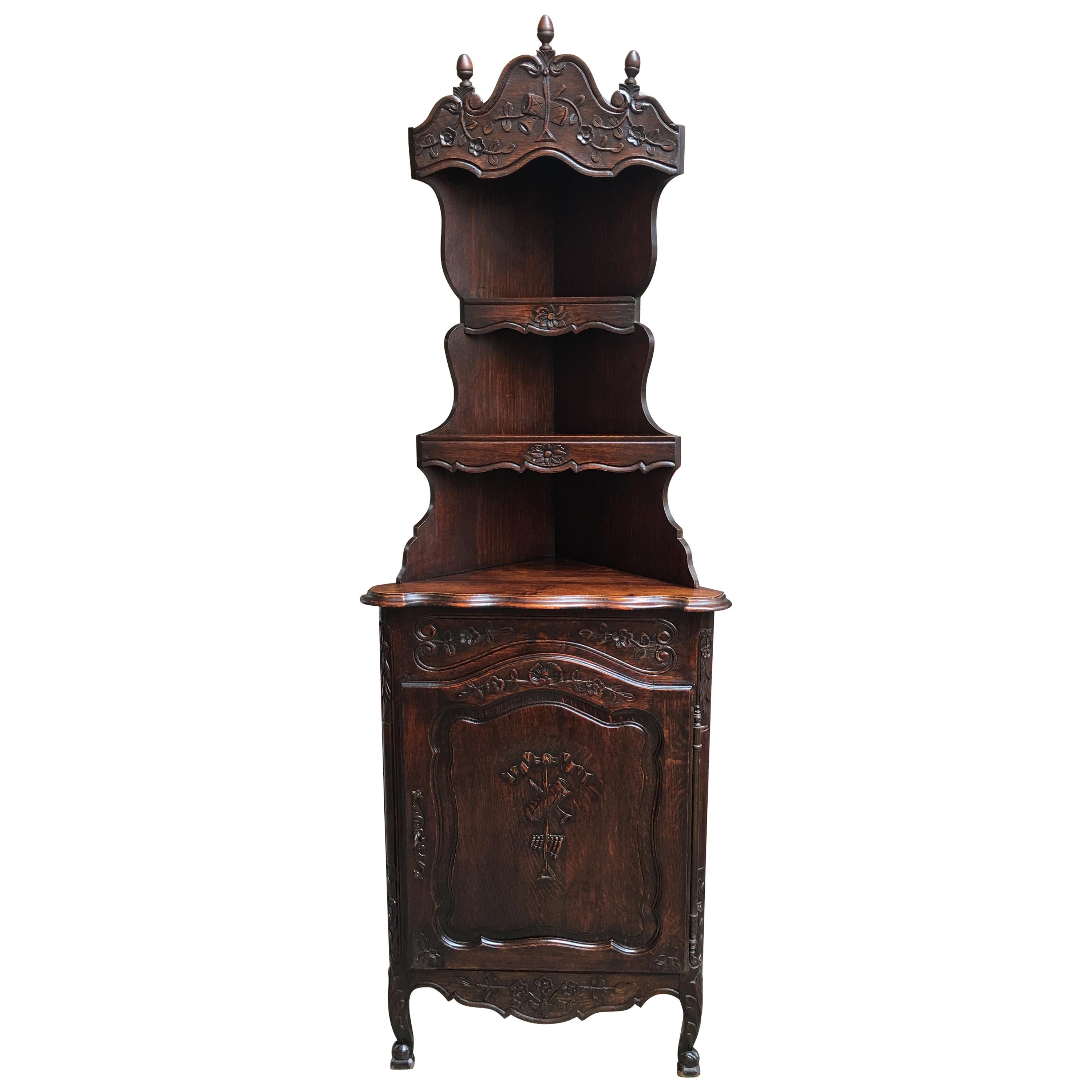 19th Century Antique French Carved Dark Oak Corner Cabinet Shelf Bookcase