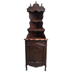 19th Century Antique French Carved Dark Oak Corner Cabinet Shelf Bookcase