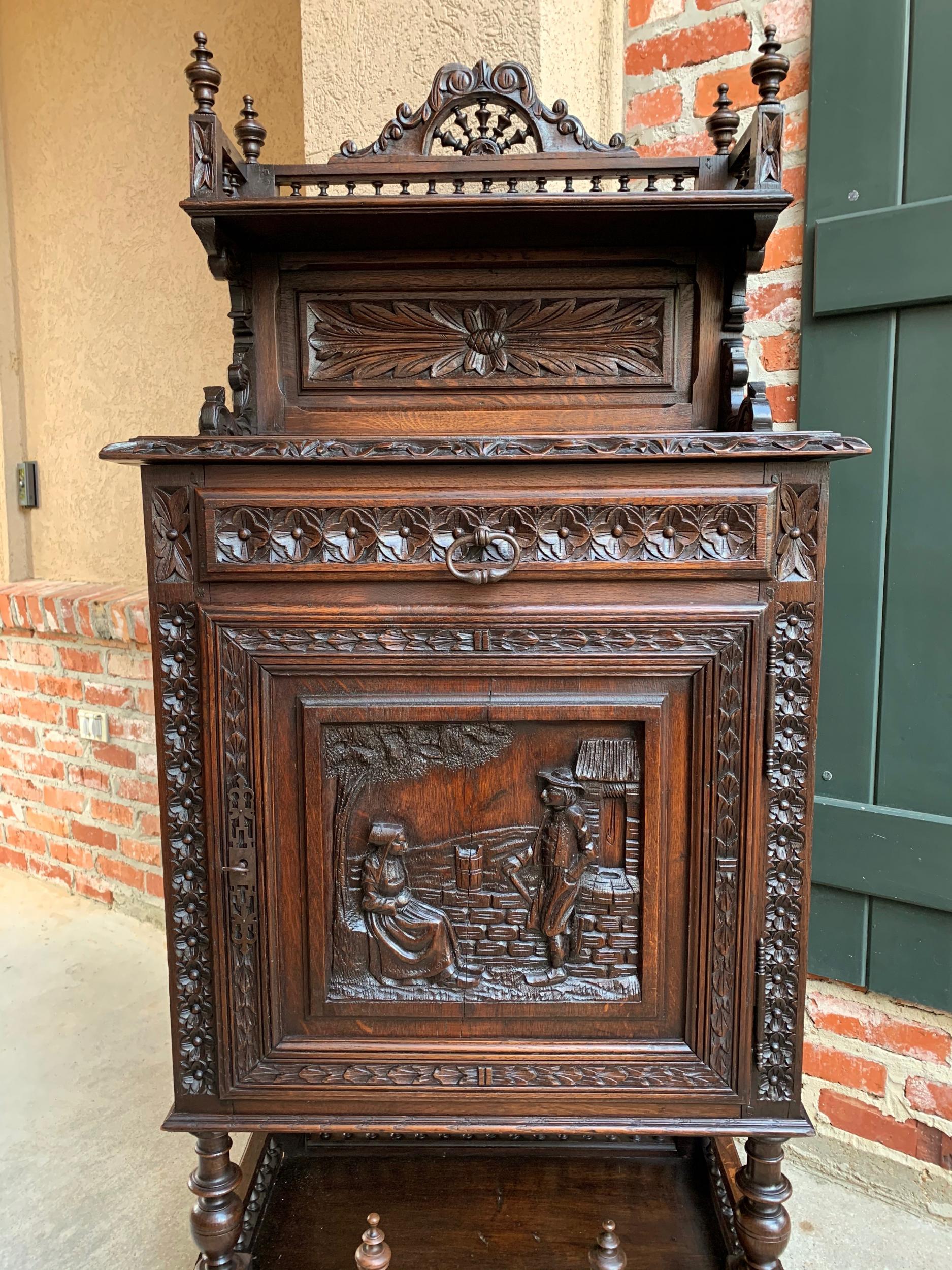 19th Century Antique French Carved Oak Confiturier Wine Cabinet Display Brittany 7