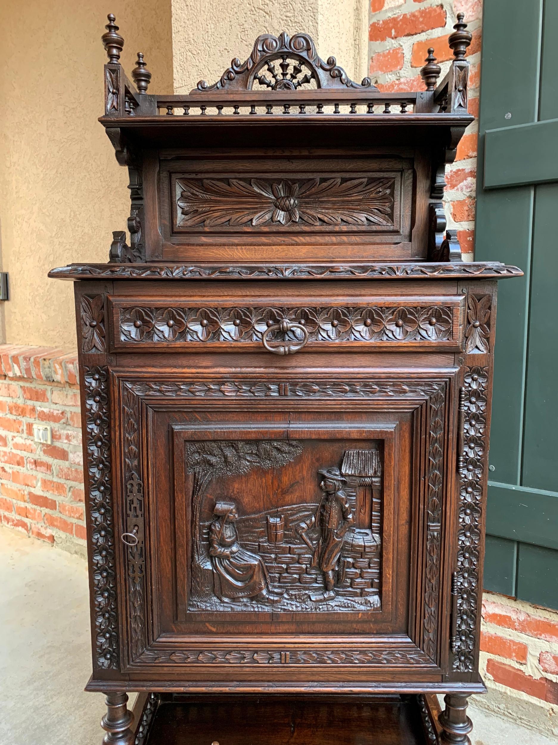 19th Century Antique French Carved Oak Confiturier Wine Cabinet Display Brittany 8