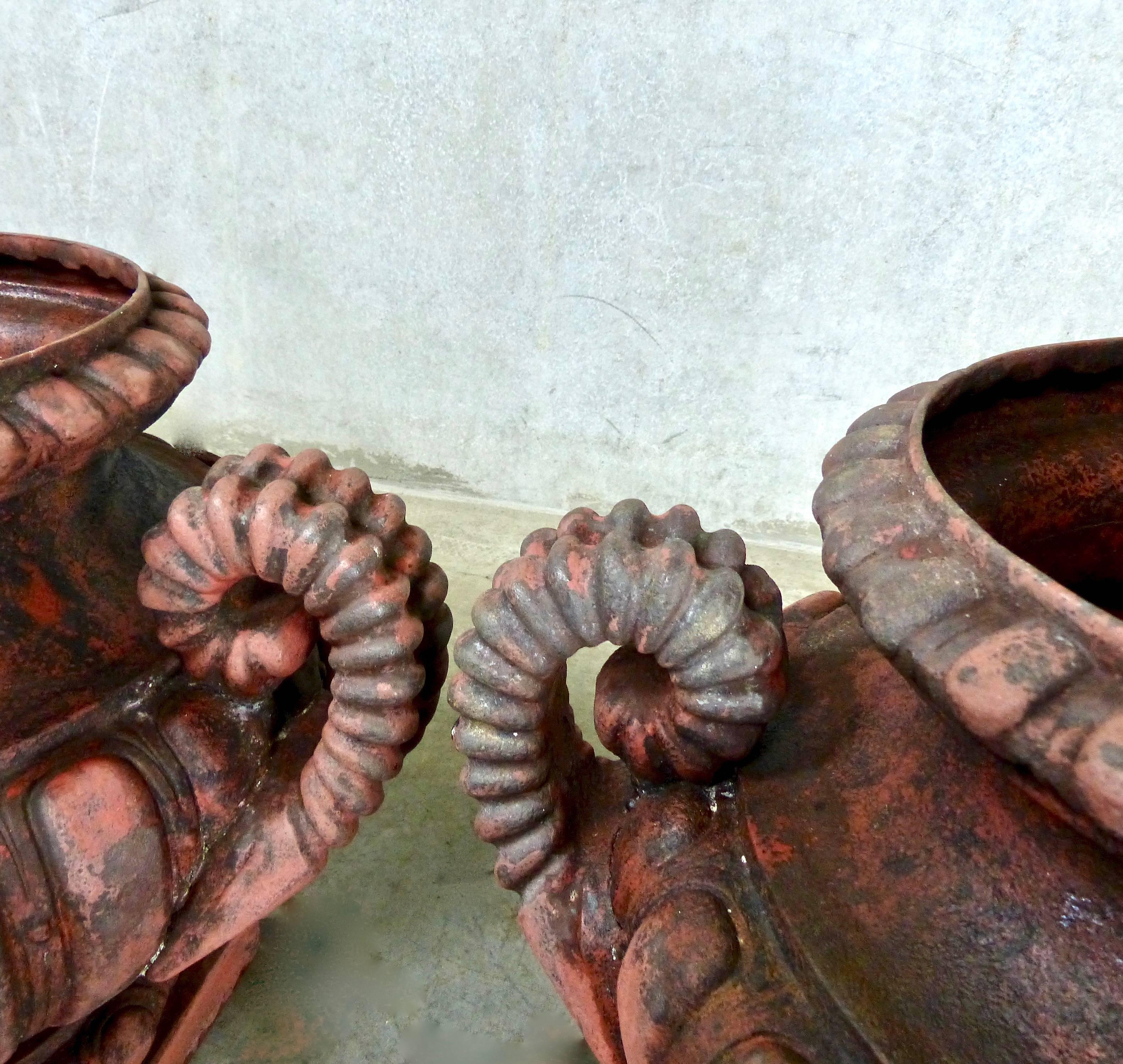 A substantial pair of French, cast iron planters with unique ribbed handles. Their red color and forceful design will create a focal point in any garden or patio.
Found in an estate in NYC in the 1970s. These are substantial size, no cracks and