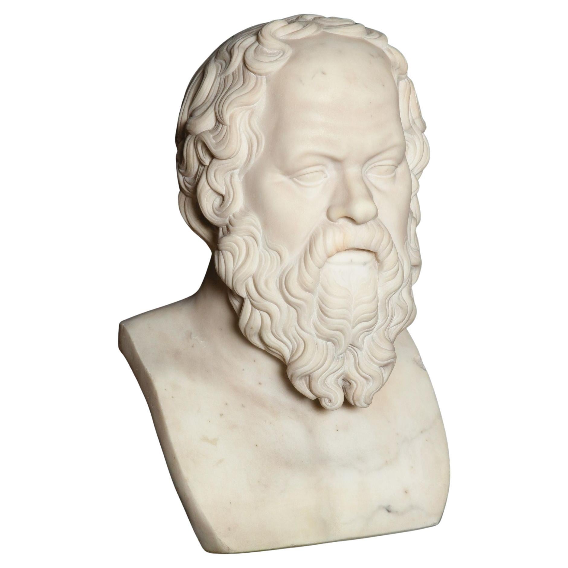 19th Century Antique Italian Grand Tour Marble Bust of Socrates ca. 1860-80