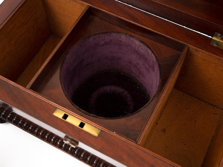 19th Century Antique Mahogany Tea Chest For Sale at 1stDibs