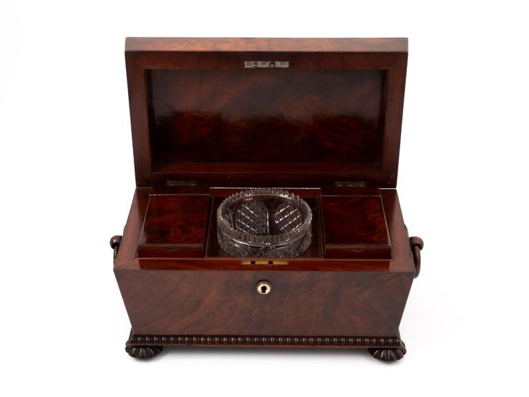 19th Century Antique Mahogany Tea Chest For Sale at 1stDibs