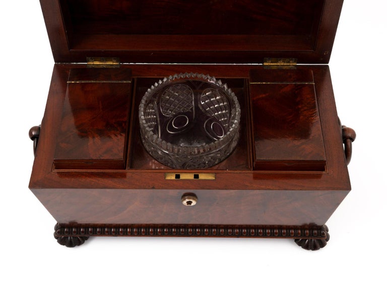 19th Century Antique Mahogany Tea Chest For Sale at 1stDibs