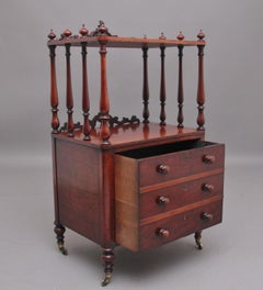 19th Century Antique Mahogany Whatnot with Cellarette