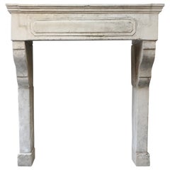 19th Century Antique Mantel Surround in Style of Louis XIII